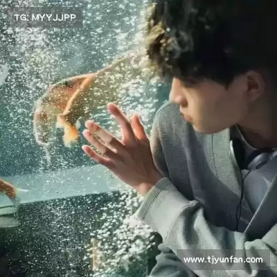 凤元卉